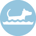 blue circle with a dog and water inside underwater treadmill icon